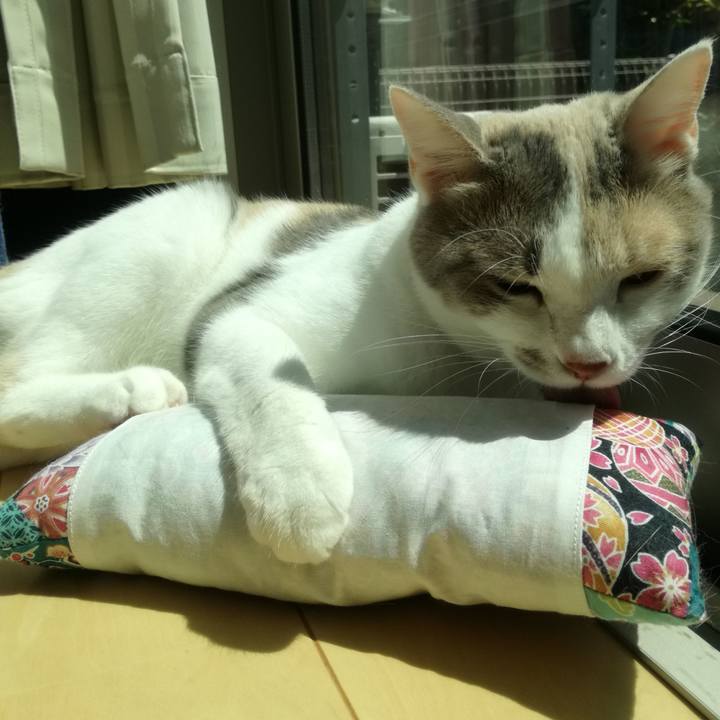 3e6812bd 7317 4d14 ad22 ae2599b8c657 1529112972702