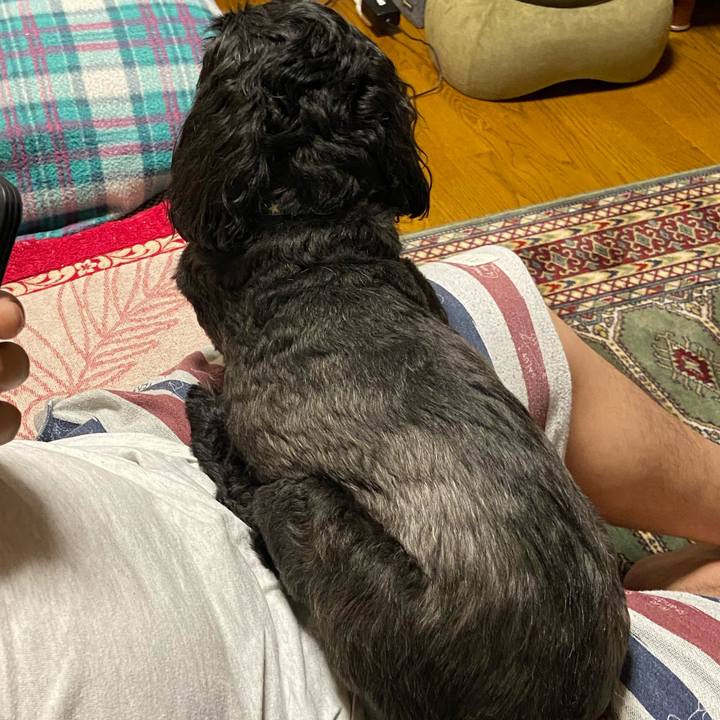 3e687bfe 70ec 427d 8742 811c01262125 1628068595761