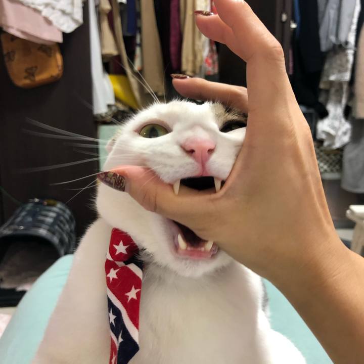 3e6892cd 6dd4 4b26 b2f2 66a362cd9739 1538369567394