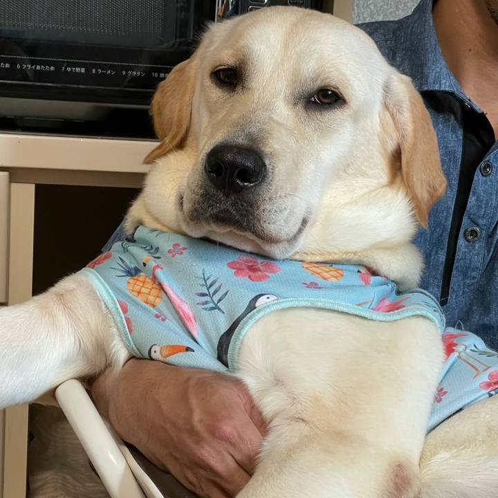 3e68bf52 dc20 4c94 93e5 d2b88d9d0c48 1633333623130