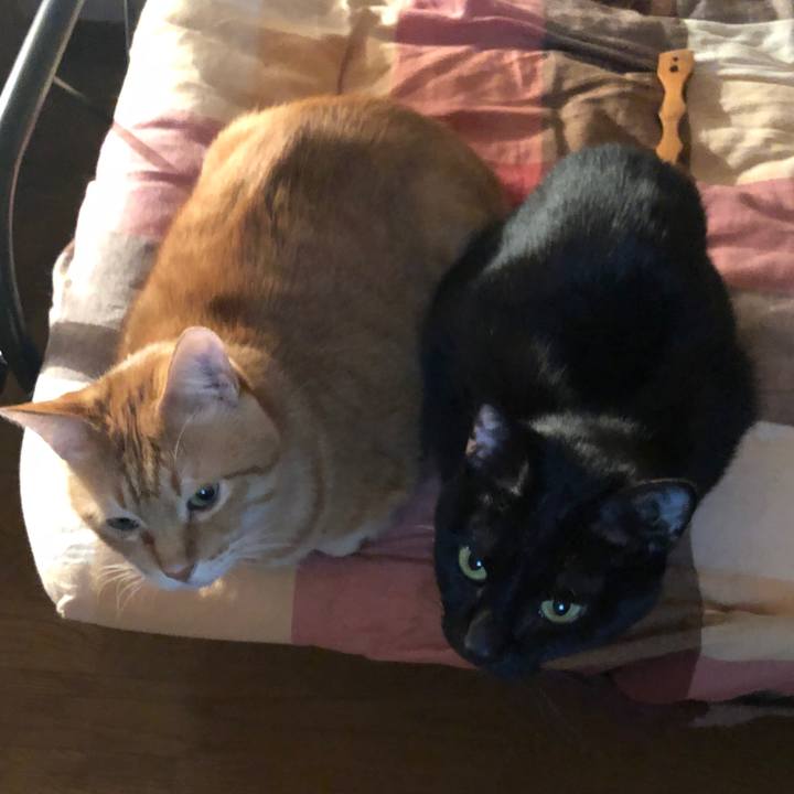 3e68e5ee dc77 47b4 a9d0 a74b0ce067e8 1668602238493