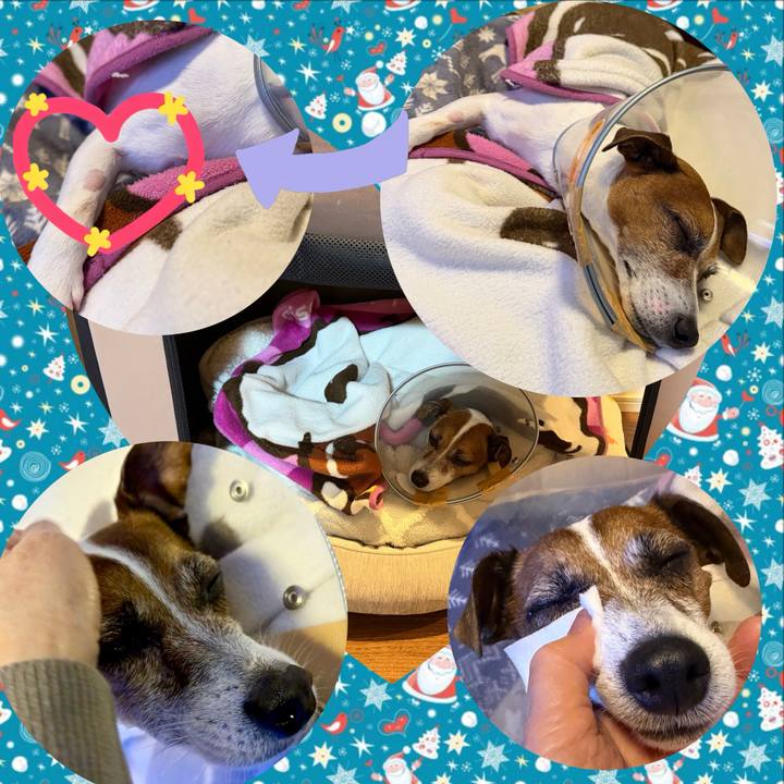 3e68f4f2 6caa 4836 804f 19ee56d7a341 1765491104031