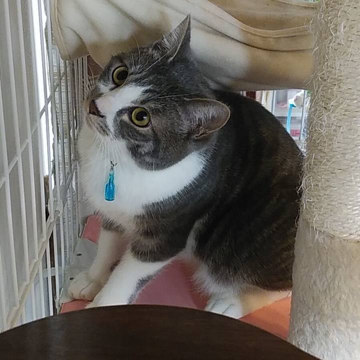 3e68ff6d b6c1 4955 bd3b e93dcc7867d7 1581723353892