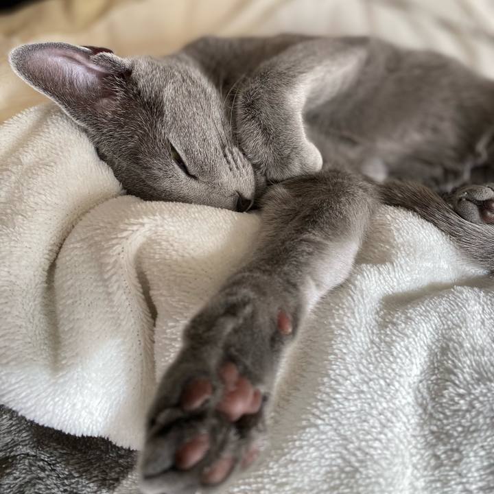 3e691734 a8e9 42a9 882b 0f4bb407d5d2 1608175428900