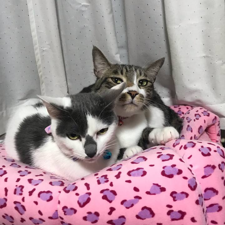 3e6934f7 5970 422a a2fe df6ff2f69fa5 1552822353431