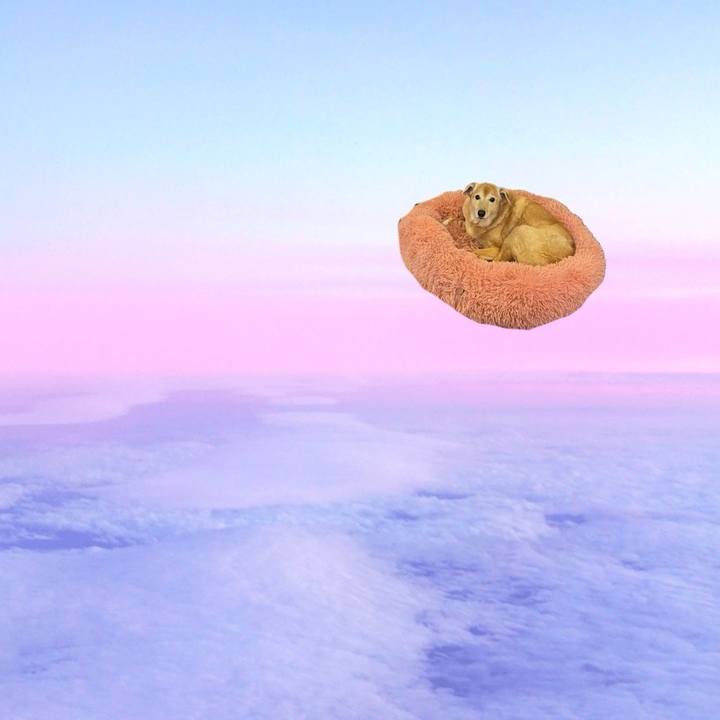 3e69762d 3723 4fa0 a179 58f8e11ee19a 1709341433579