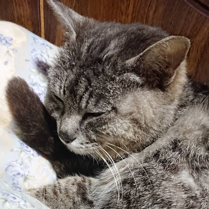 3e6992f0 fc0b 4979 b3a1 7456e243190f 1589719926995