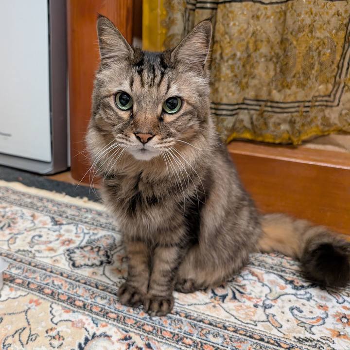 3e69dad6 06d7 470b b277 d1968d94a050 1769297508540