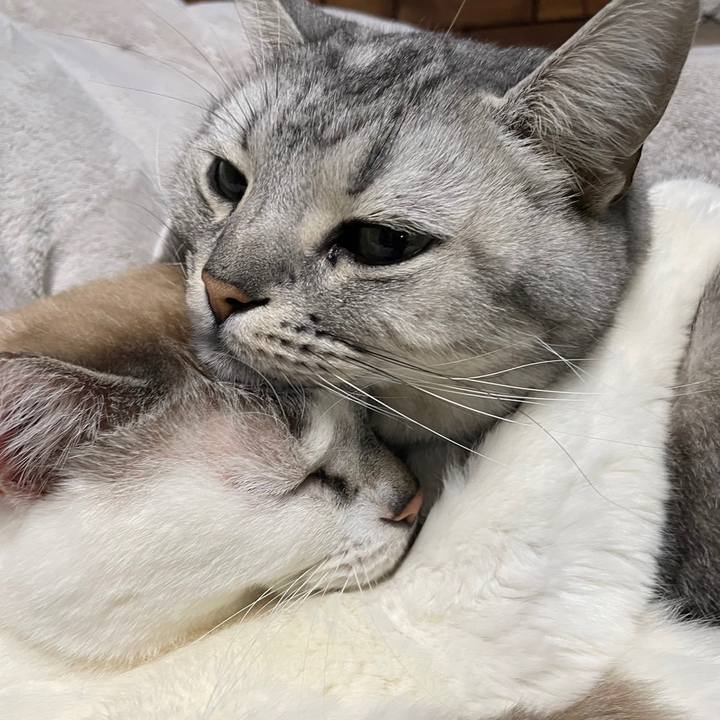 3e69f87d 3f28 4960 b7b7 5be7f7e1db62 1709091118269