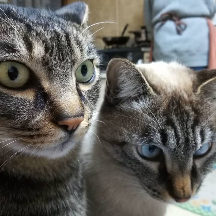 3e6a127c 3295 42ec 91b7 7313139994f1 1545123501103