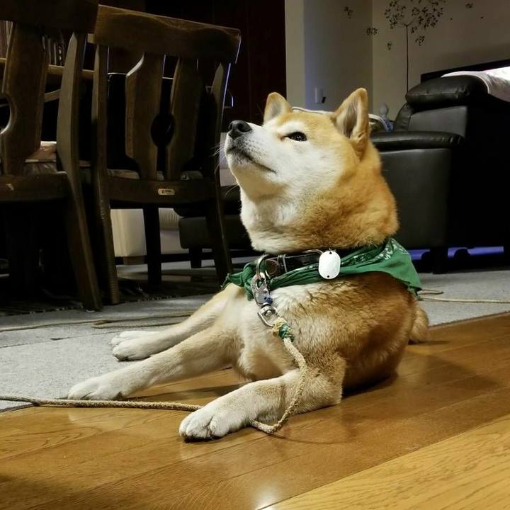 3e6a4d92 1ec6 47ca 895e 63756615ae96 1523096482127