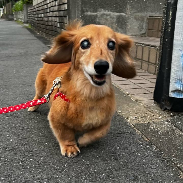 3e6a5c67 a64e 4374 bcac 3d7179bce1a4 1661511848498