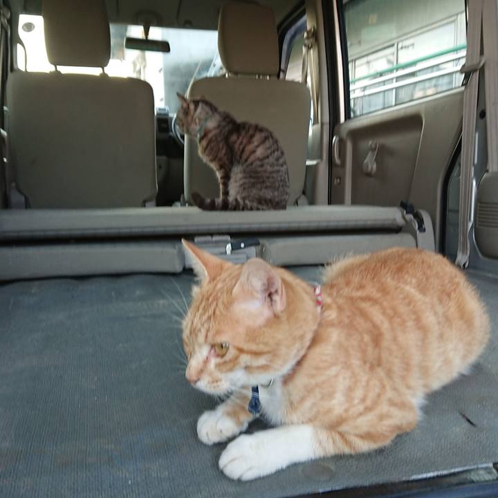 3e6a7b73 eb1c 45a3 8051 34a64cce3f1e 1561022787276