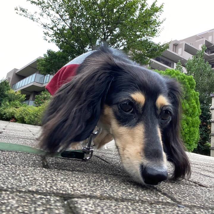 3e6a7b90 d448 43a6 8466 1611d2aa255d 1724895224315