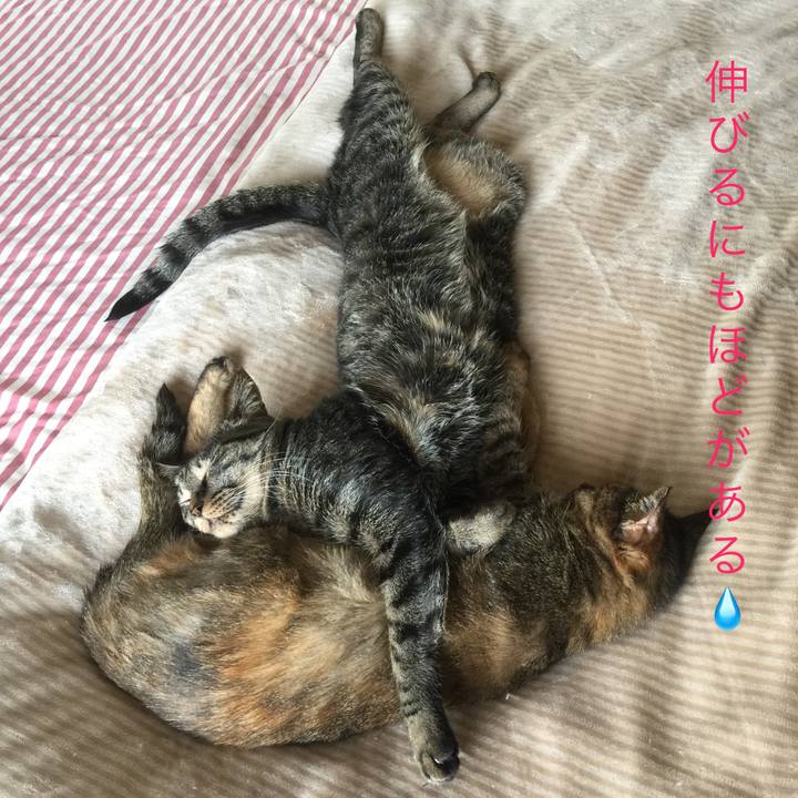 3e6a8a8d b70f 43ff 96e3 cd31a7695058 1621920246009