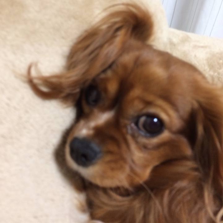 3e6a8d14 b88f 4dbc b1cf 93706de2bc51 1521113383447