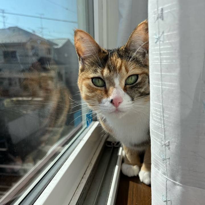 3e6a9bce 0a98 43c3 8772 fc3a8301d1ef 1709527985967