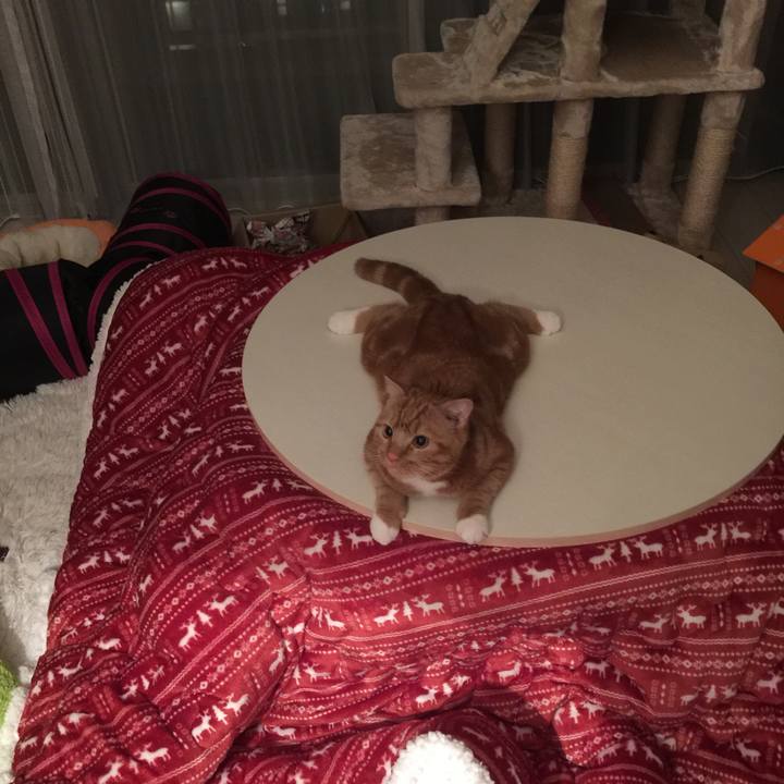 3e6aa981 cf2a 4685 943a 893cbc3bc3b7 1511542260712