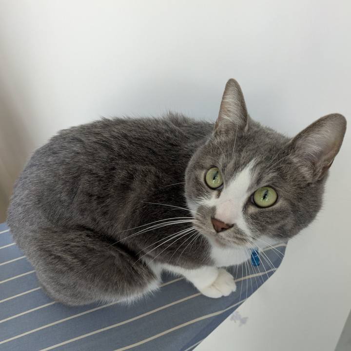 3e6ab14b 045f 484a b059 77155df19130 1774836491674