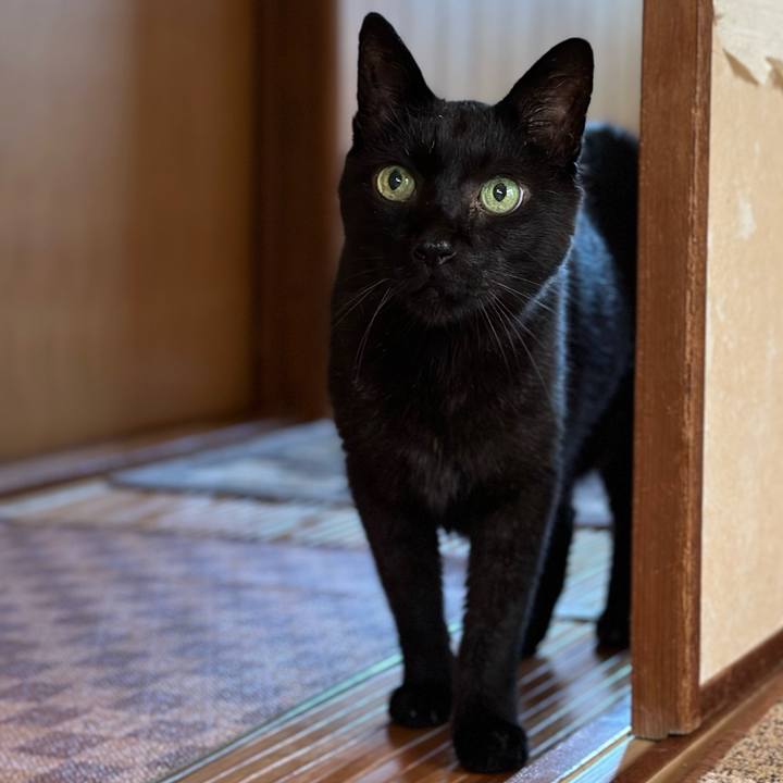 3e6ae0a3 e1b0 4c41 b921 266c11b284d4 1689126253371