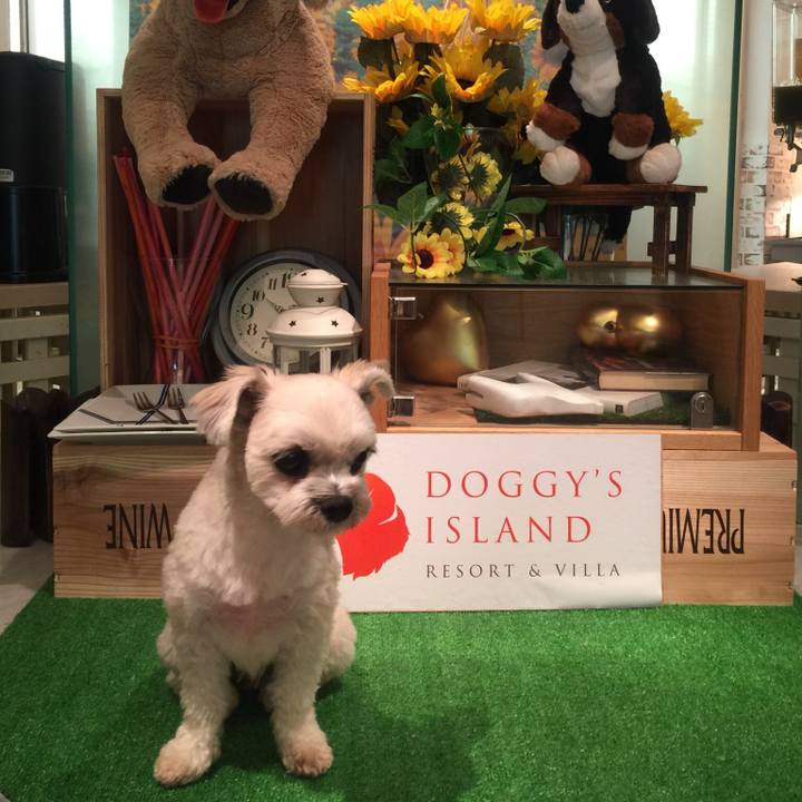 3e6ae73e 29b9 4b45 86e6 bb19798e2aa0 1534502177143