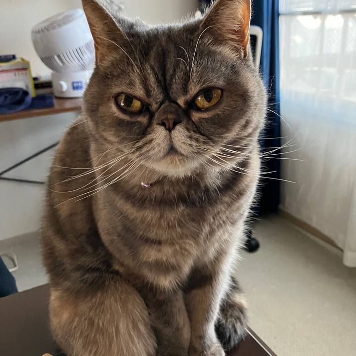 3e6af483 c7fc 4f08 bc30 5318b335fc53 1770946294599