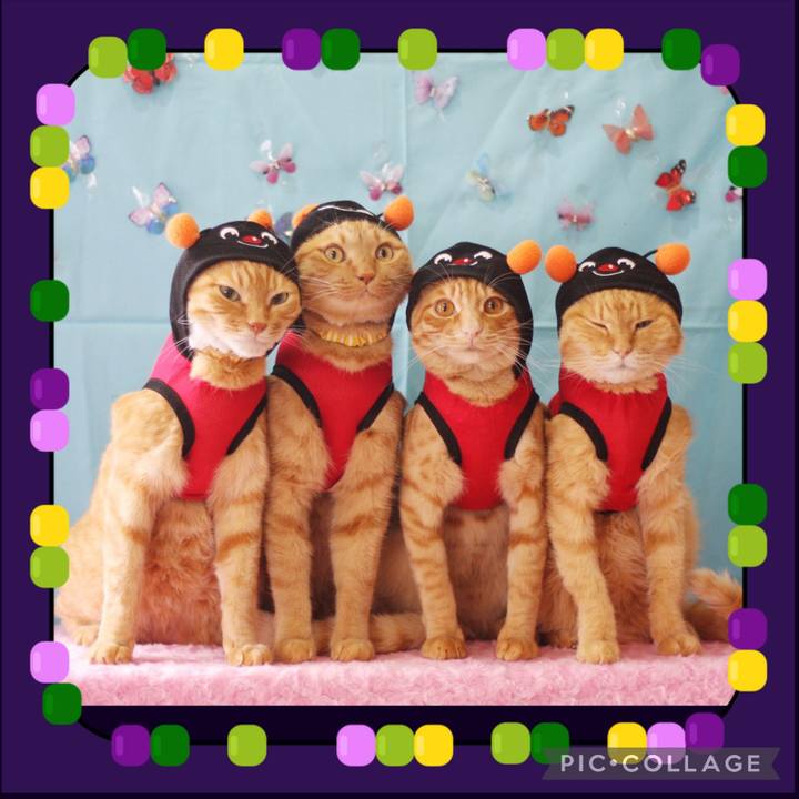 3e6b0ffa ec9e 4fff acfc a24f002fc17d 1688895401112