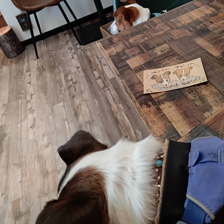 3e6b1ef0 ec6f 49f7 a7de bb4f88047e3c 1645865222711