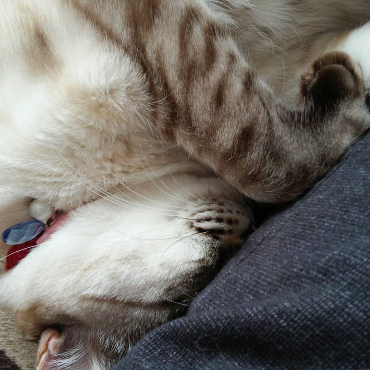 3e6b3a44 3203 4d95 8261 55fce1d24909 1516850123116