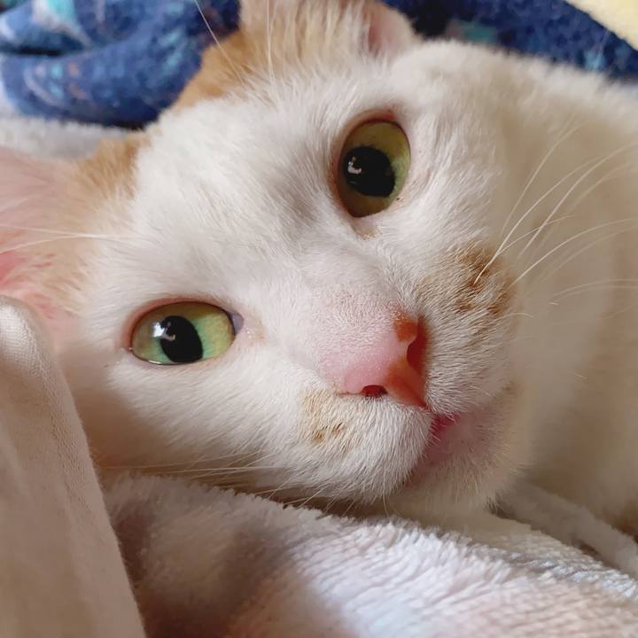 3e6b5d32 429f 4e3d b608 c0d12160c924 1587252391849