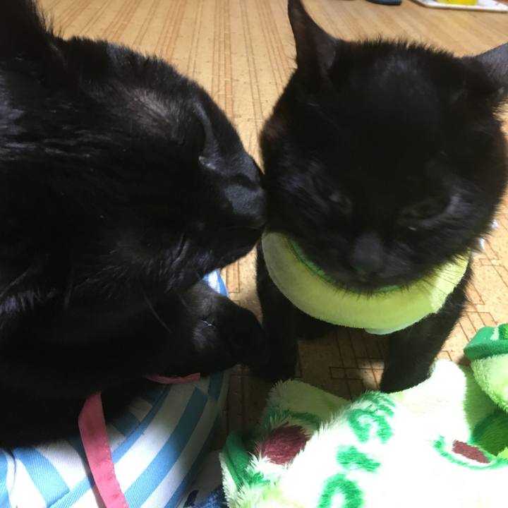 3e6b616d ba3e 4d6d 819b 7ad5de05277d 1561740432509