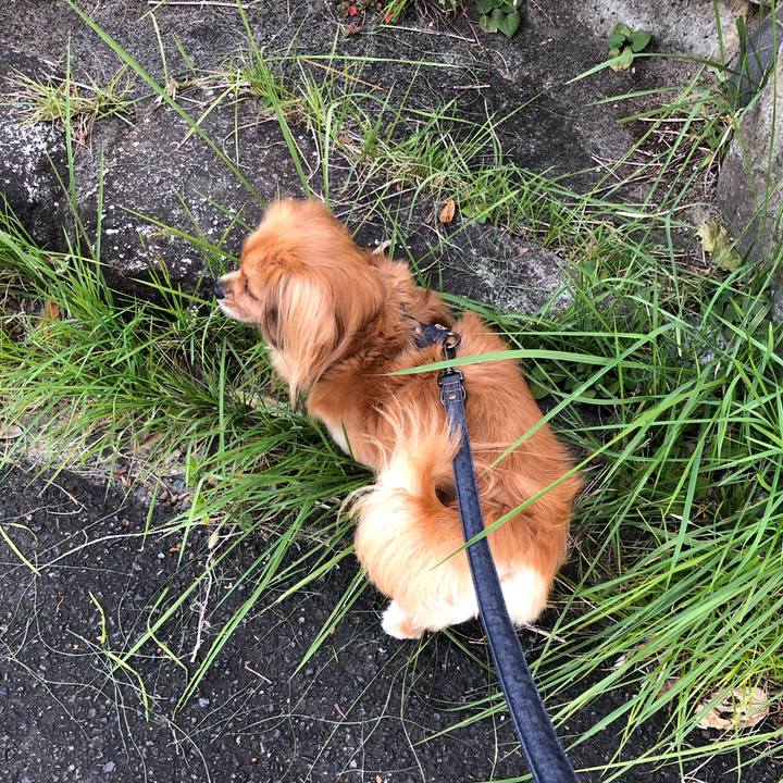 3e6b71e7 3470 460d ad85 e422706b9532 1569534963590