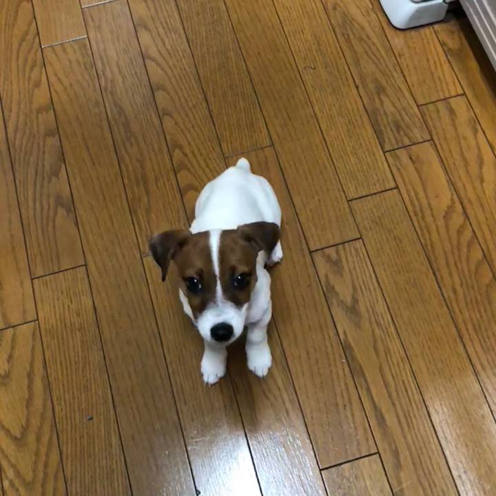 3e6b79e2 ad26 4e8f 8396 d2a0a60aa2d4 1513806708211