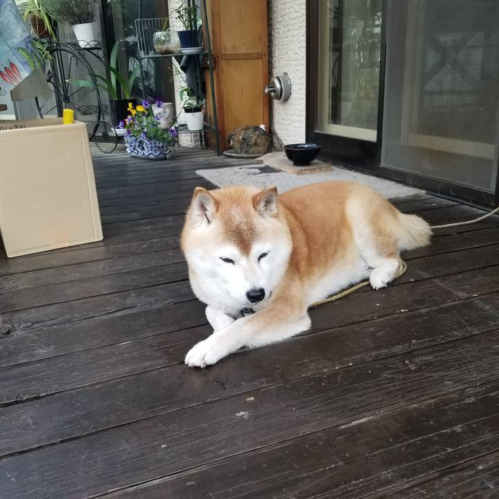 3e6b8d75 d51d 49f7 b9de 731c85b2b283 1715809756984