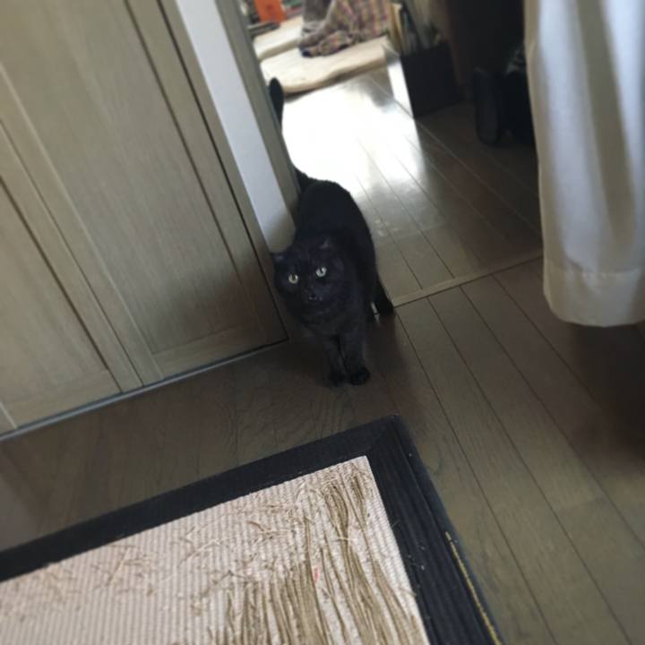 3e6b9c49 fe81 4dcb 954a 2e53909d780b 1513729906825