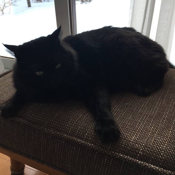 3e6bbf13 813a 432c aab2 10a4c25c27e2 1517625447222