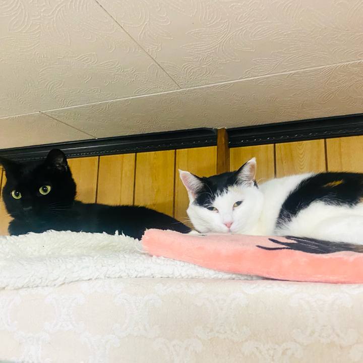 3e6bbfa9 9175 4eff a13f 85bc54f8f001 1738622222020