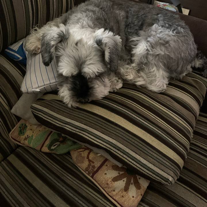 3e6bc4ea 6ce6 4d75 a377 d8be6f7dd81e 1658548547412