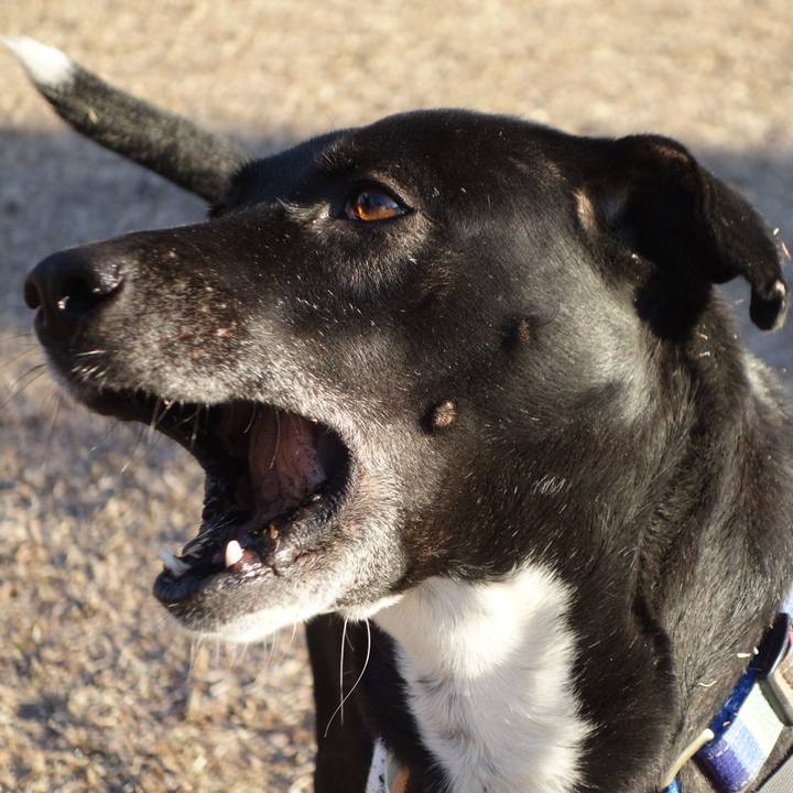 3e6c10ce 9f25 4fab 93bb 1d7e06a48f89 1644196157692