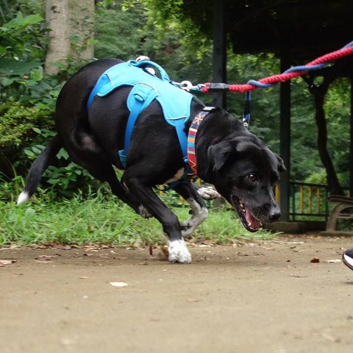 3e6c64f4 f5fe 4cae b9e2 f0cd26fab742 1629679667320