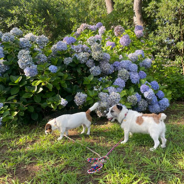 3e6cb7ed 4b70 437d a51b a14f76f0635b 1721689068026