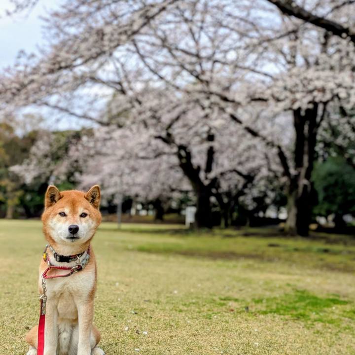 3e6ce32d e648 4d9d 9887 fa97d92b7e6c 1743688693245