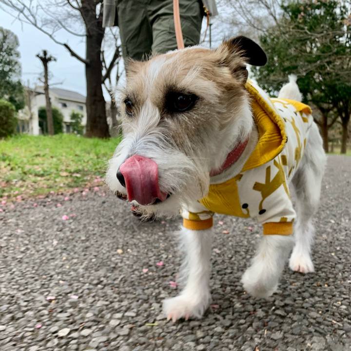 3e6cff03 cb89 4546 8b09 c1007ab50fe1 1679404556800