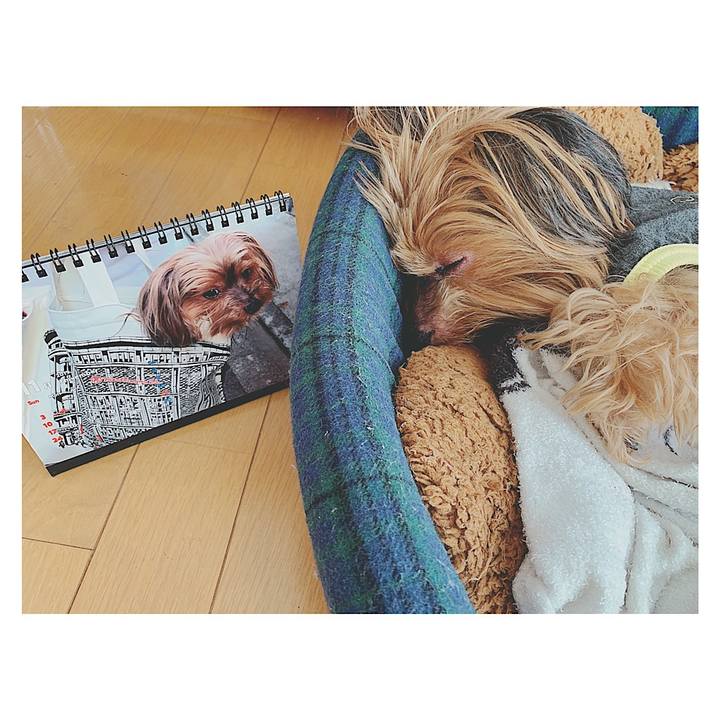 3e6d3924 d161 4c0e bb64 d8b2045f0eef 1572651667799