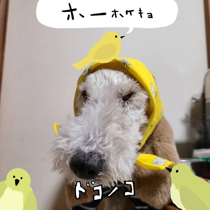 3e6d41a7 bd43 4c7c 8b2f 9b5dadd69e23 1711107544719