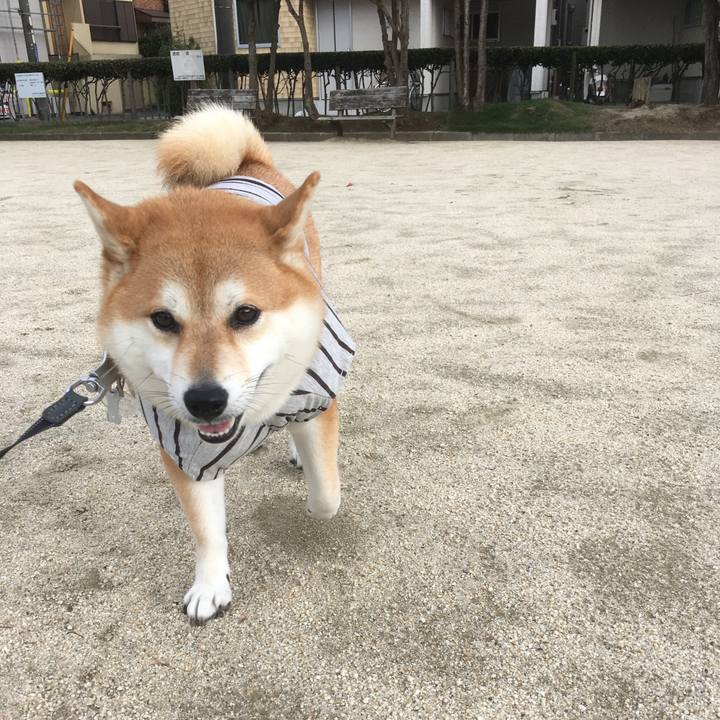 3e6d41cb a74e 46a2 8dd6 20b11d8224c9 1539497362309