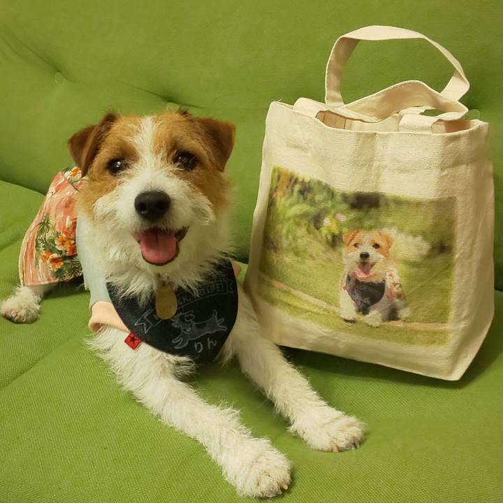 3e6d5c71 3666 49d4 89d7 4949201b38fd 1561115162617