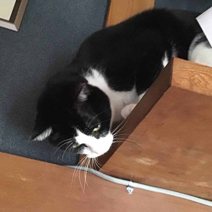 3e6d73e6 f95a 4b88 8f0e d40ba3192465 1709451685745