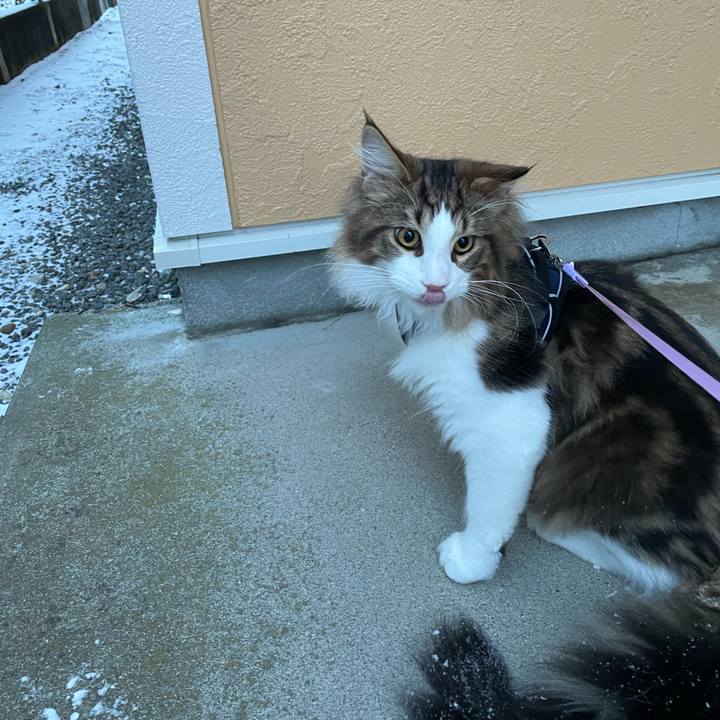 3e6d783c 400b 4b84 a585 72ee956d01fc 1639866934127