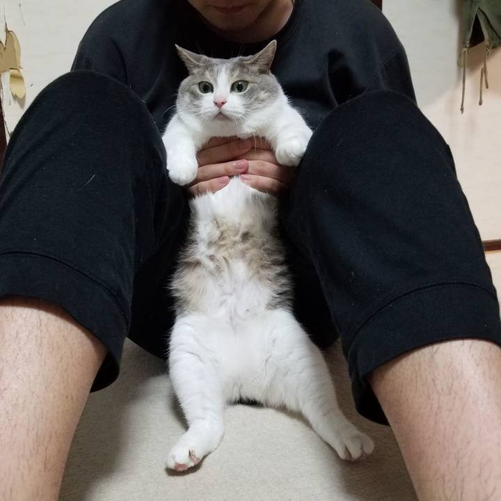 3e6de6b2 b973 4feb a87c 0abf2e1922b5 1649080368565